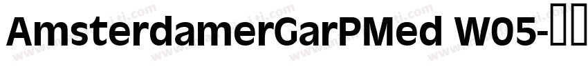 AmsterdamerGarPMed W05字体转换